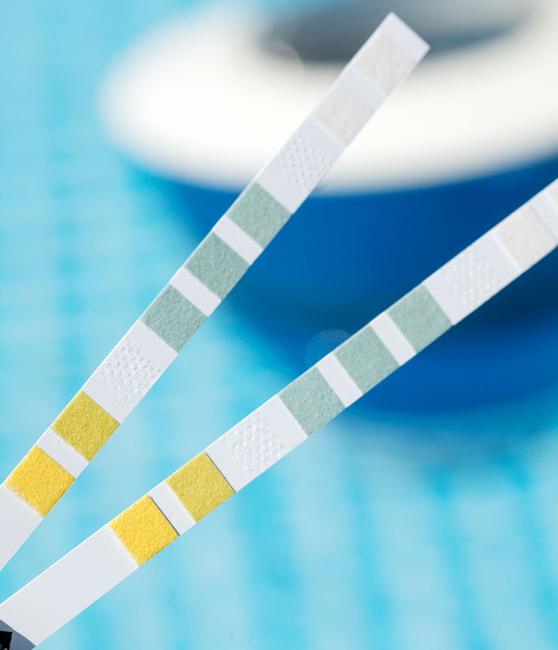 Testing Your Pool Hot Tub Water Care Test Strips